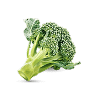 h3-product11 h3-product11