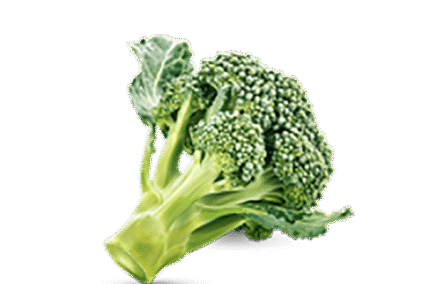 h3-product11 h3-product11