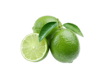 h3-product12 h3-product12