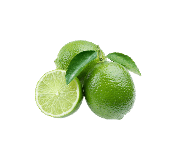 h3-product12 h3-product12