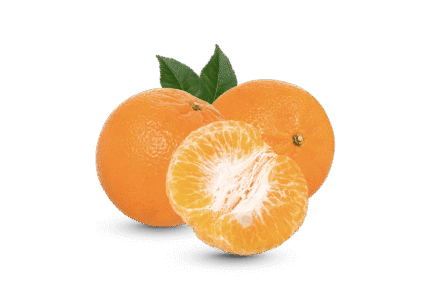 h3-product2 h3-product2