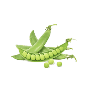 h3-product7 h3-product7