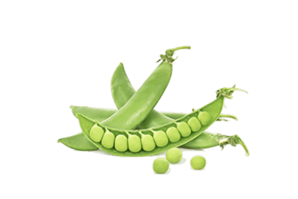 h3-product7 h3-product7